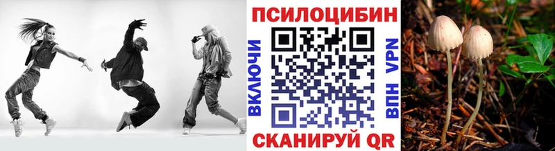 закладка Киржач Галлюциногенные грибы Magic Shrooms